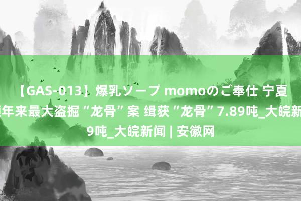 【GAS-013】爆乳ソープ momoのご奉仕 宁夏警方破获频年来最大盗掘“龙骨”案 缉获“龙骨”7.89吨_大皖新闻 | 安徽网