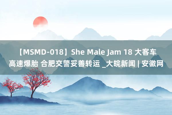 【MSMD-018】She Male Jam 18 大客车高速爆胎 合肥交警妥善转运 _大皖新闻 | 安徽网