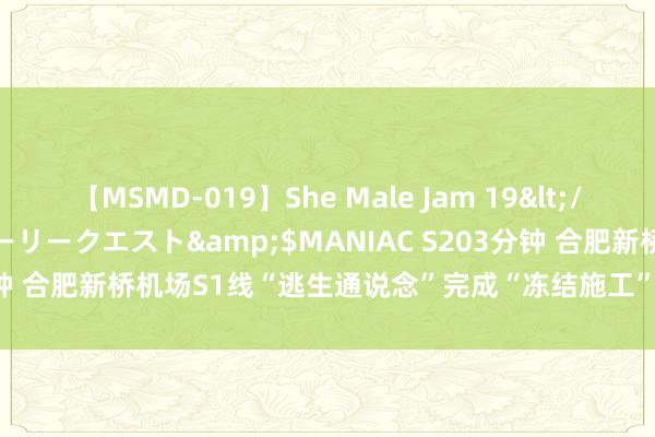 【MSMD-019】She Male Jam 19</a>2008-08-04グローリークエスト&$MANIAC S203分钟 合肥新桥机场S1线“逃生通说念”完成“冻结施工”_大皖新闻 | 安徽网