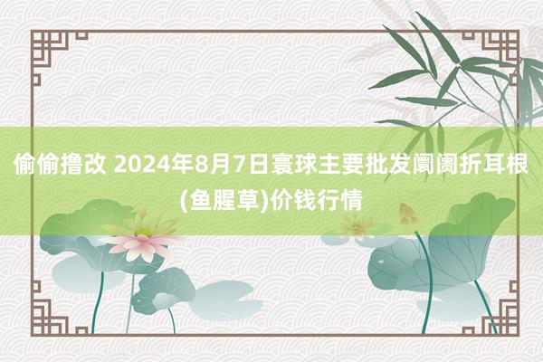 偷偷撸改 2024年8月7日寰球主要批发阛阓折耳根(鱼腥草)价钱行情