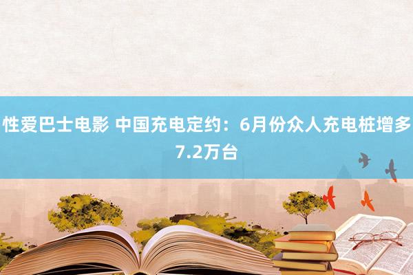 性爱巴士电影 中国充电定约：6月份众人充电桩增多7.2万台