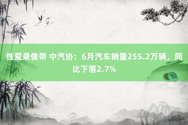 性爱录像带 中汽协：6月汽车销量255.2万辆，同比下落2.7%