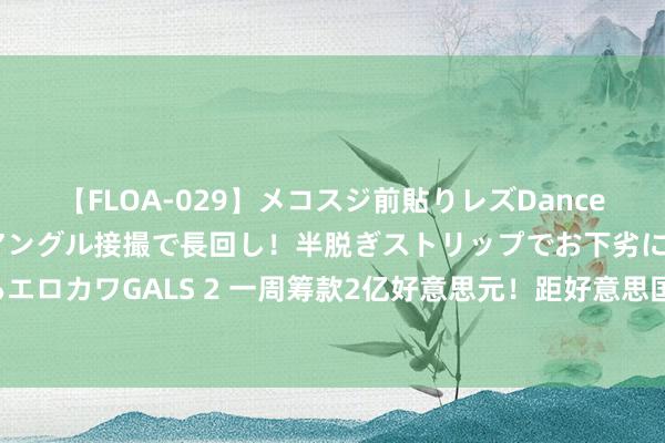 【FLOA-029】メコスジ前貼りレズDance オマ○コ喰い込みをローアングル接撮で長回し！半脱ぎストリップでお下劣にケツをシェイクするエロカワGALS 2 一周筹款2亿好意思元！距好意思国大选不及百日，特朗普若何迎战“哈里斯旋风”