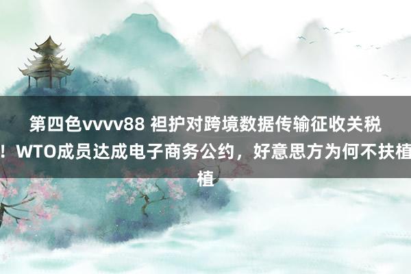 第四色vvvv88 袒护对跨境数据传输征收关税！WTO成员达成电子商务公约，好意思方为何不扶植