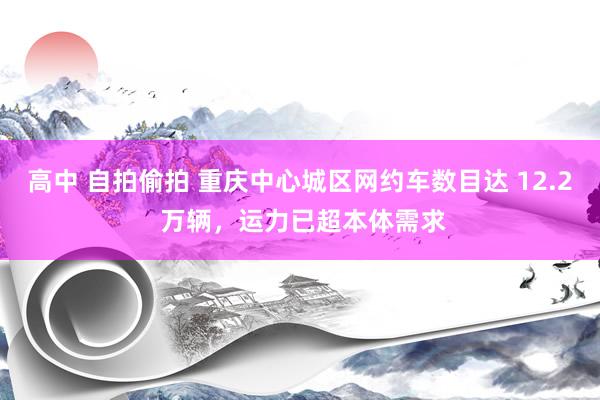 高中 自拍偷拍 重庆中心城区网约车数目达 12.2 万辆，运力已超本体需求