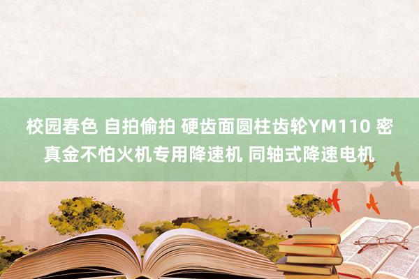 校园春色 自拍偷拍 硬齿面圆柱齿轮YM110 密真金不怕火机专用降速机 同轴式降速电机