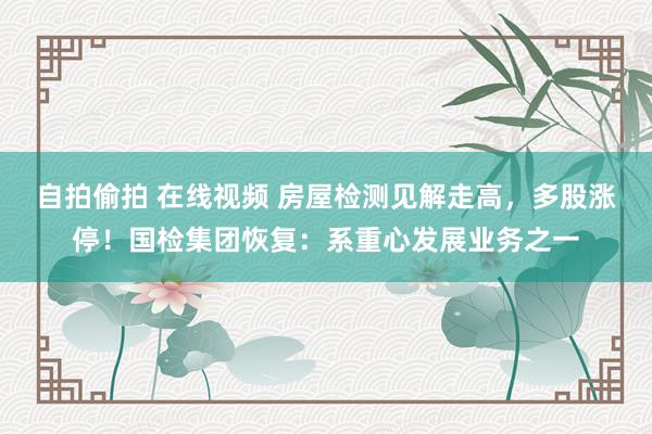 自拍偷拍 在线视频 房屋检测见解走高，多股涨停！国检集团恢复：系重心发展业务之一