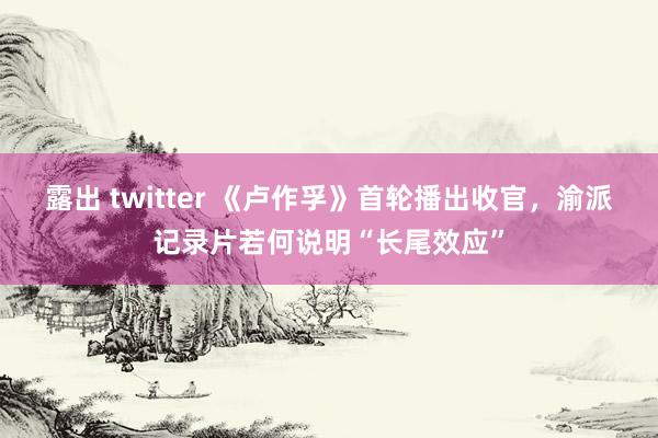 露出 twitter 《卢作孚》首轮播出收官，渝派记录片若何说明“长尾效应”