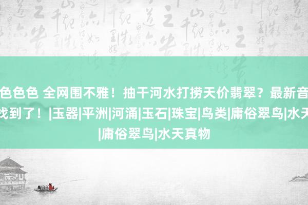 色色色 全网围不雅！抽干河水打捞天价翡翠？最新音书，找到了！|玉器|平洲|河涌|玉石|珠宝|鸟类|庸俗翠鸟|水天真物