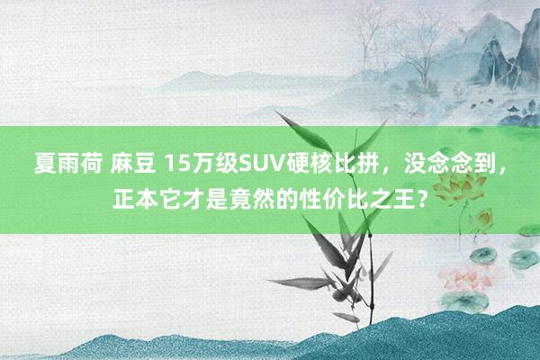 夏雨荷 麻豆 15万级SUV硬核比拼，没念念到，正本它才是竟然的性价比之王？