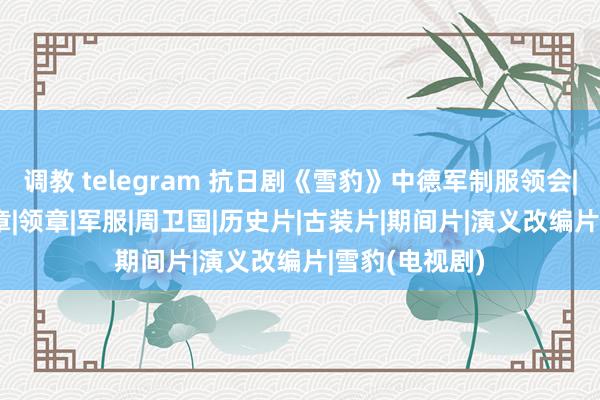 调教 telegram 抗日剧《雪豹》中德军制服领会|军官|士兵|肩章|领章|军服|周卫国|历史片|古装片|期间片|演义改编片|雪豹(电视剧)