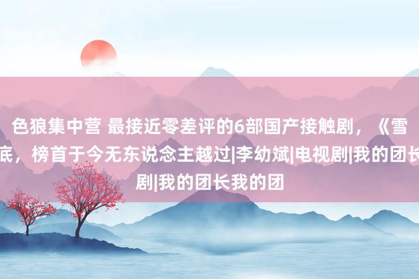 色狼集中营 最接近零差评的6部国产接触剧，《雪豹》垫底，榜首于今无东说念主越过|李幼斌|电视剧|我的团长我的团