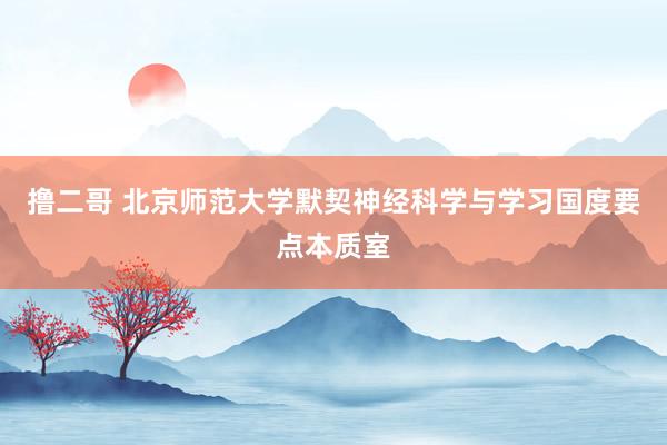 撸二哥 北京师范大学默契神经科学与学习国度要点本质室